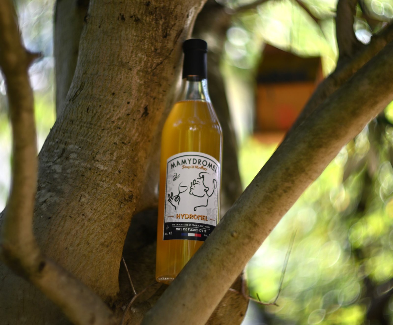 Hydromel de fleurs d'été – Image 2